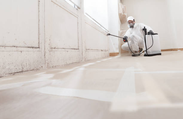 24/7 Emergency Mold Remediation experts in Spring Ridge, MD