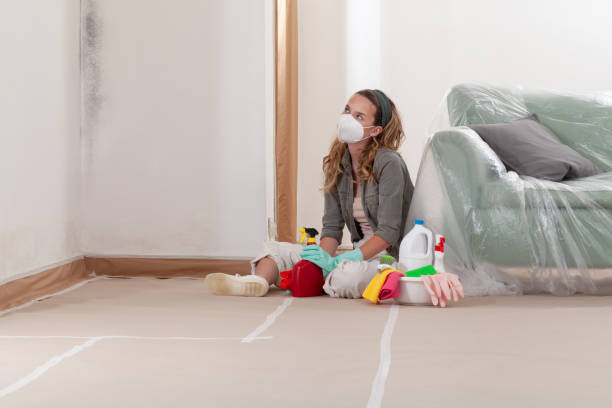 Reliable Mold Remediation contractor in Spring Ridge, MD by 24 Hour Mold Removal