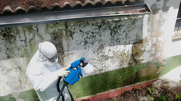 Top rated local Mold Remediation specialists in Spring Ridge, MD